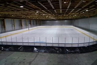 arena-image