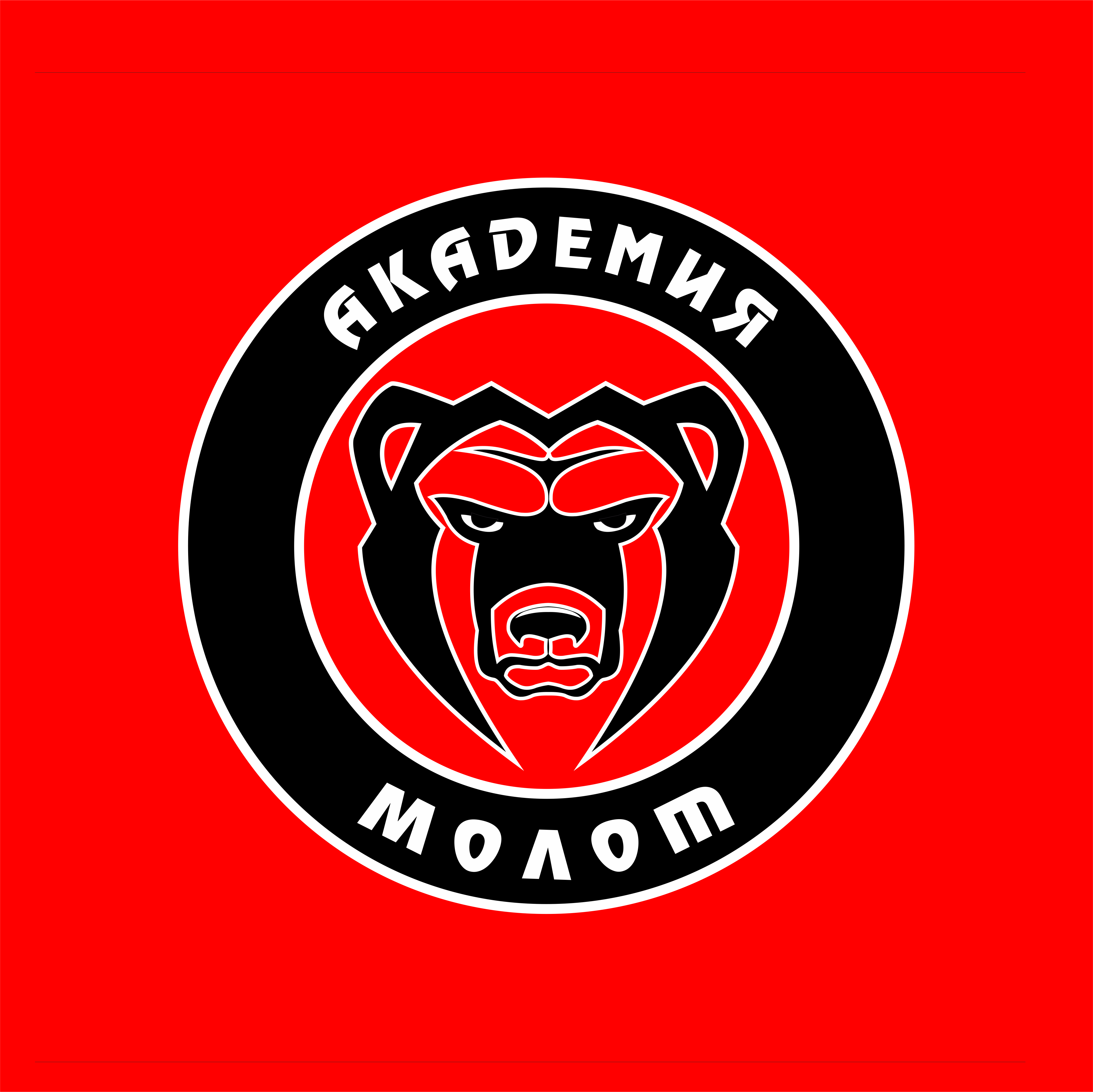 arena-image