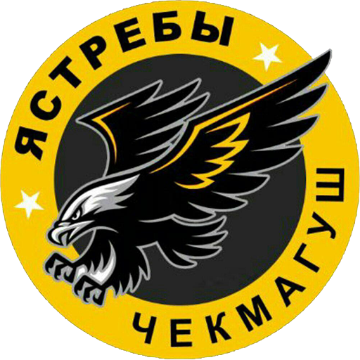 arena-image